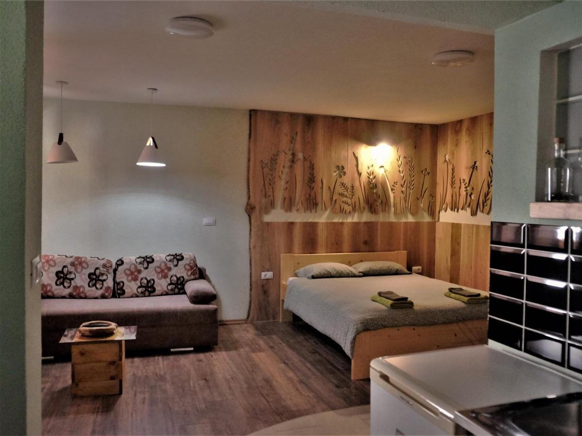 Old Square House - Hisa Na Starem Trgu Apartment